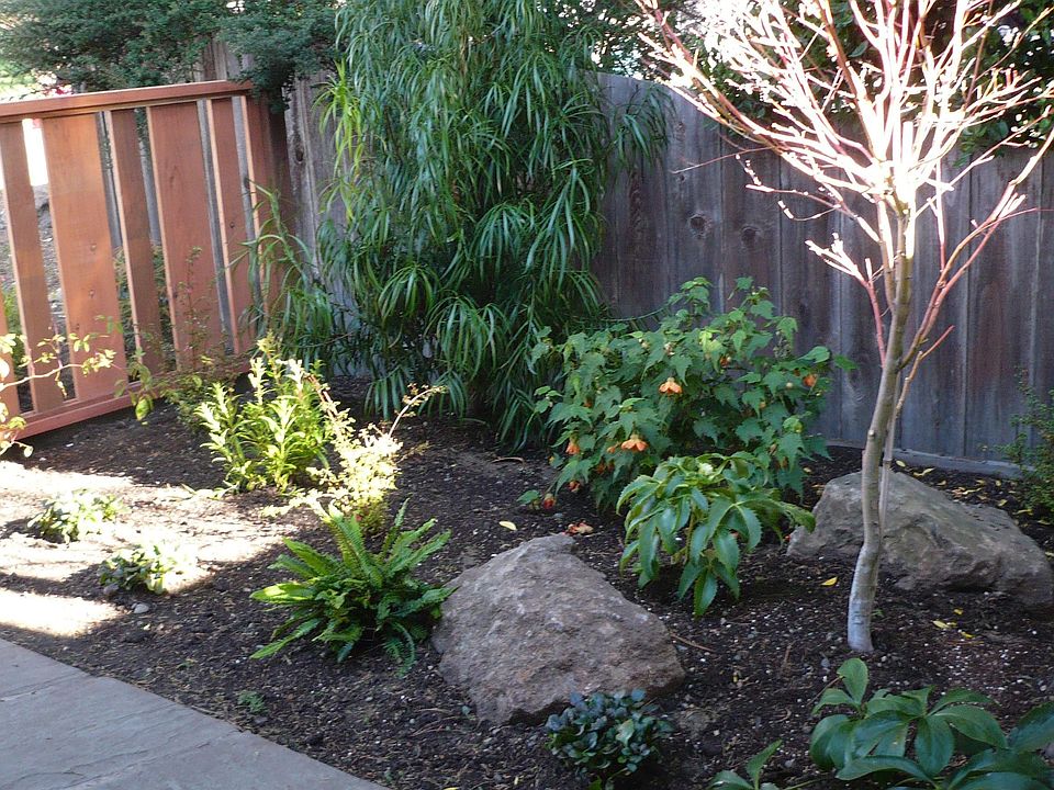 New Landscaping 2010 (2)