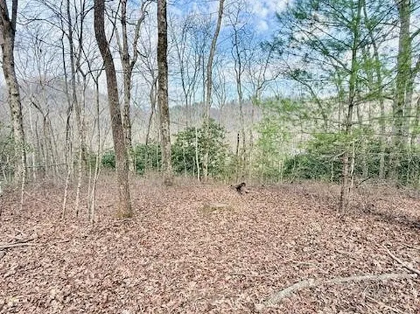 0 Pleasant Vw Lot 9, Robbinsville, NC 28771