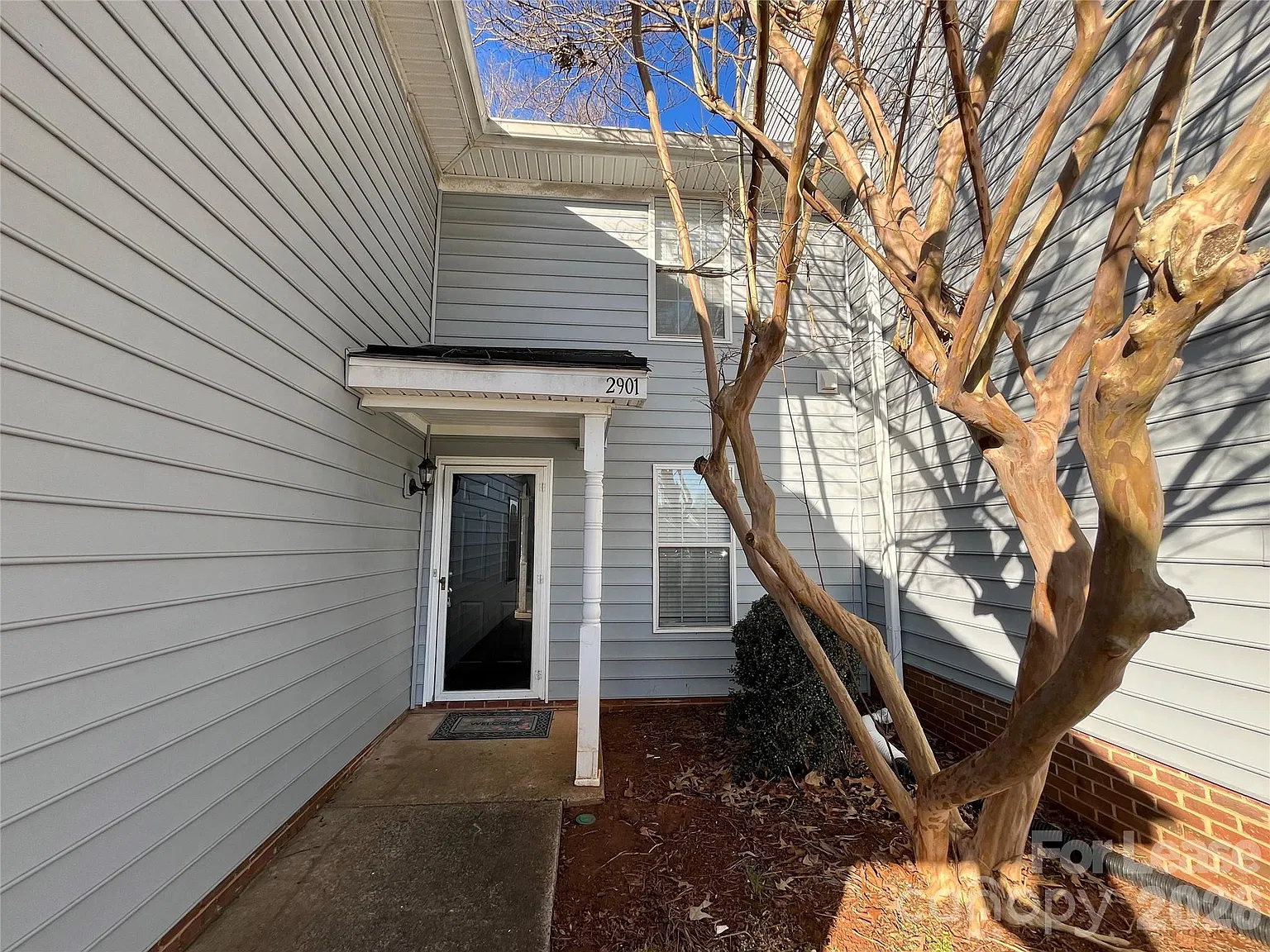 2 bed, 2.0 bath, 1000 sqft, $1,500 — Photo 3