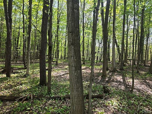 3rd image of Pochuck Rd