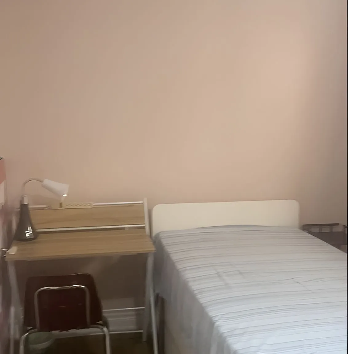 1 bed, $850 — Photo 4