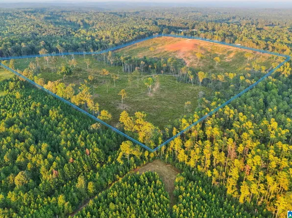 5651 County Road 97 #5651, Clanton, AL 35046