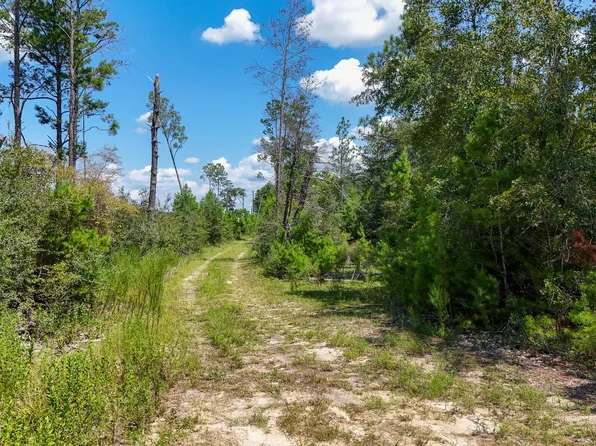 1657 NW Dragon Ln, Fountain, FL 32438