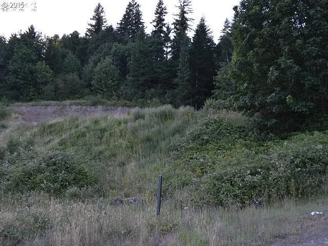 145 Windy River Rd #67 photo 1