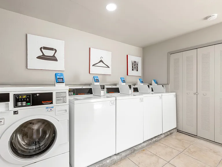 Extra Larger and Standard Washers