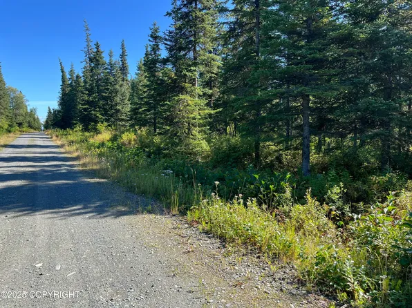 L1b4 Clammers Haven Dr, Clam Gulch, AK 99568