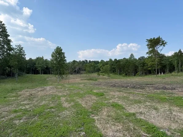 0 Roy Foster Rd, McMinnville, TN 37110