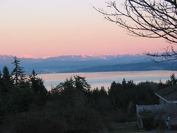 View from all front rooms of house