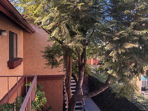 inside courtyard