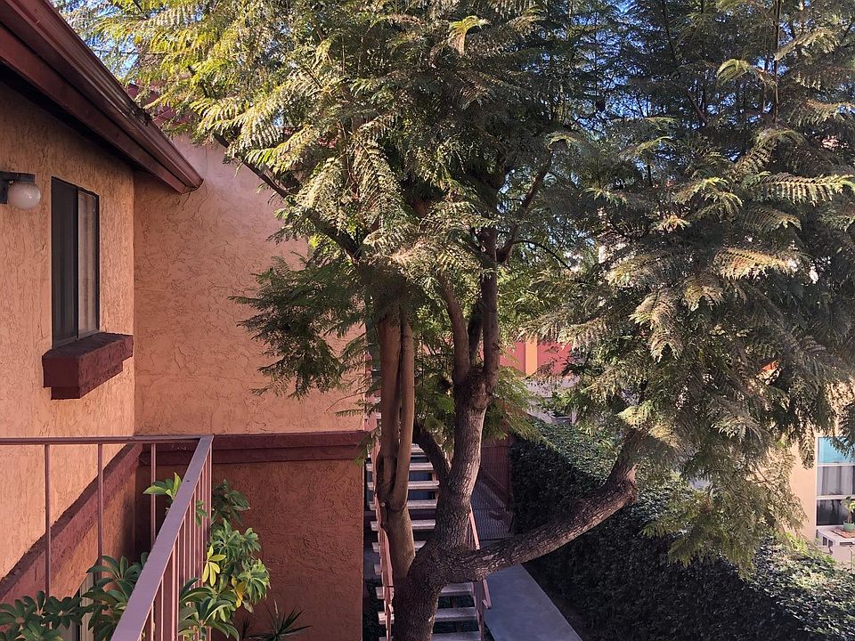 inside courtyard