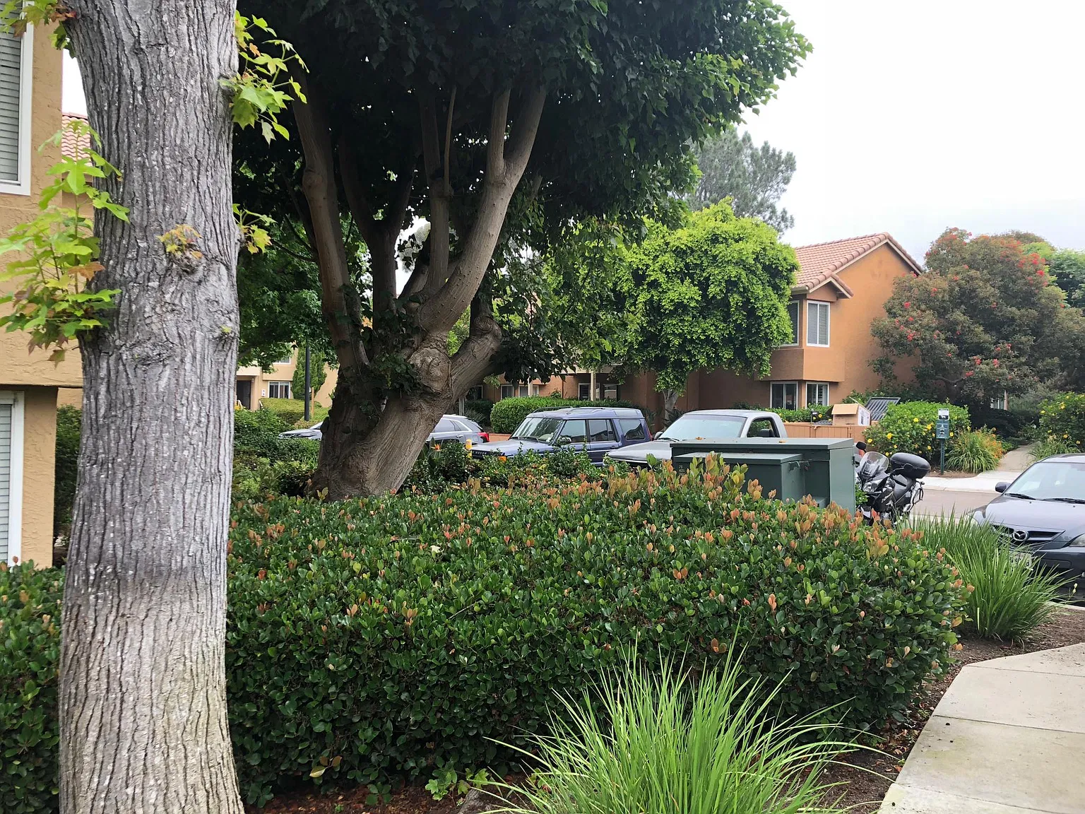 2 bed, 1263 sqft, $4,450 — Photo 3