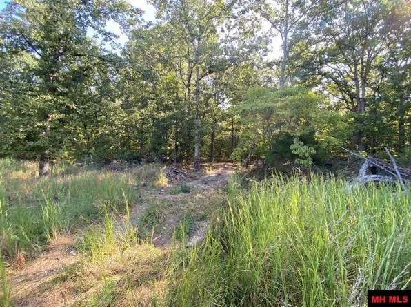 TRACT Deb Mar Woods Ter #B, Midway, AR 72651