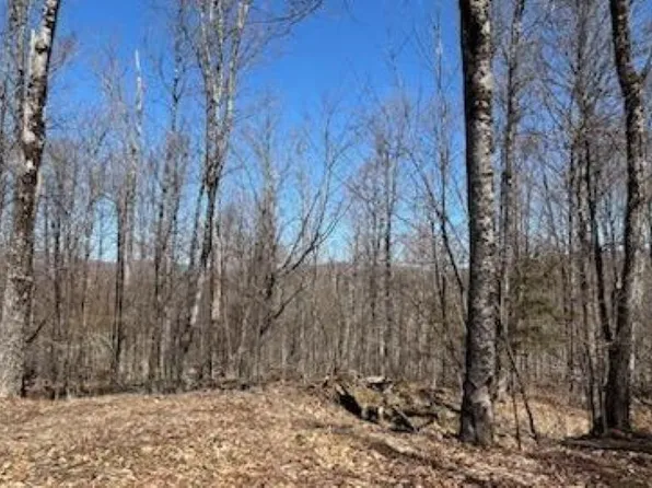 1376 Kingdom Road, Plymouth, VT 05056