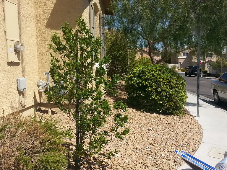 7181 Dravite Ct — Photo 15