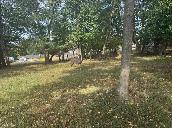 Harding Rd #36B, Zanesville, OH 43701