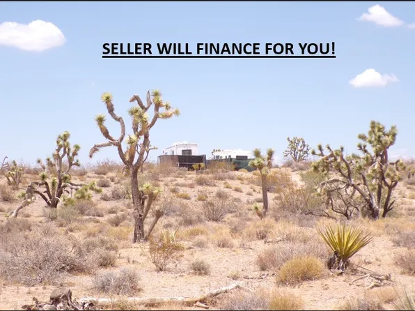 8593 W Michaley Drive, White Hills, AZ 86445