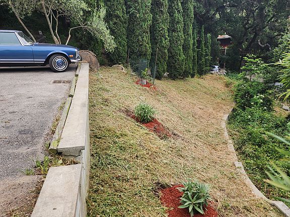 Fire clearance biannual. Non maintenance garden for renter.