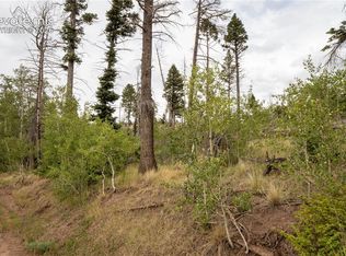 LOT 2571 Andes Loop, Fort Garland, CO 81133