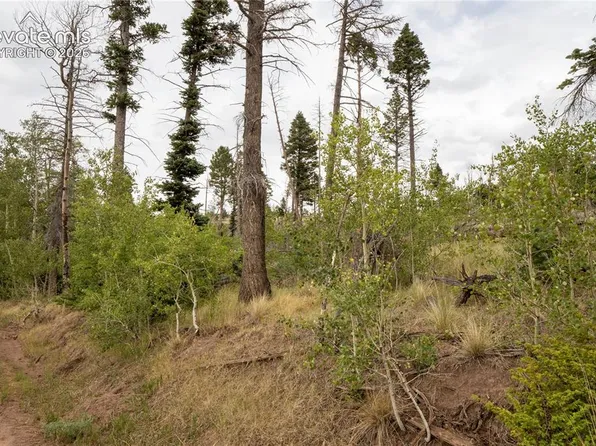 LOT 2571 Andes Loop, Fort Garland, CO 81133