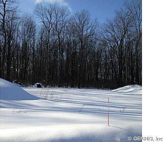 2nd image of 7 Blackstone Dr