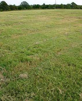 2nd image of 9410 Bear Creek Rd Lot 20