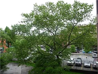 Sold by Time Equities, Inc.