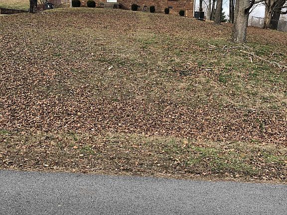 4th image of 249 Jeffery Dr