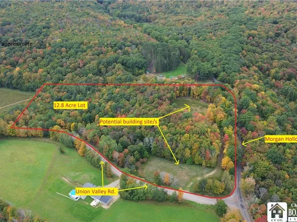 Union Valley Rd Lot 20, Olean, NY 14760