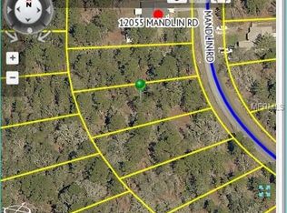 12035 Mandlin Rd, Weeki Wachee, FL 34614