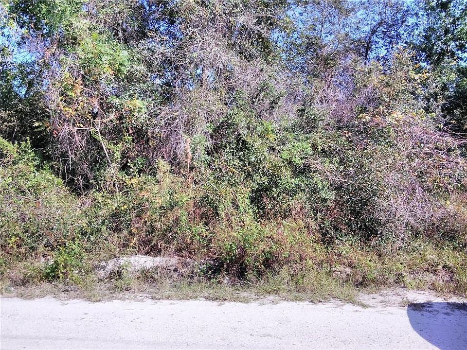 2nd image of 835 Live Oak Ave