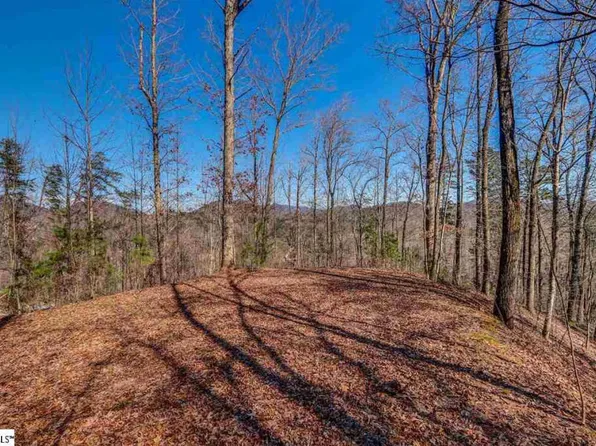 44 Copper Leaf Ln, Travelers Rest, SC 29690