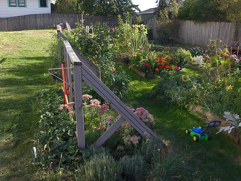Free garden plot! Fence yard perfect for your pup!