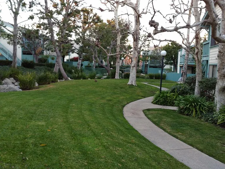 Lawns