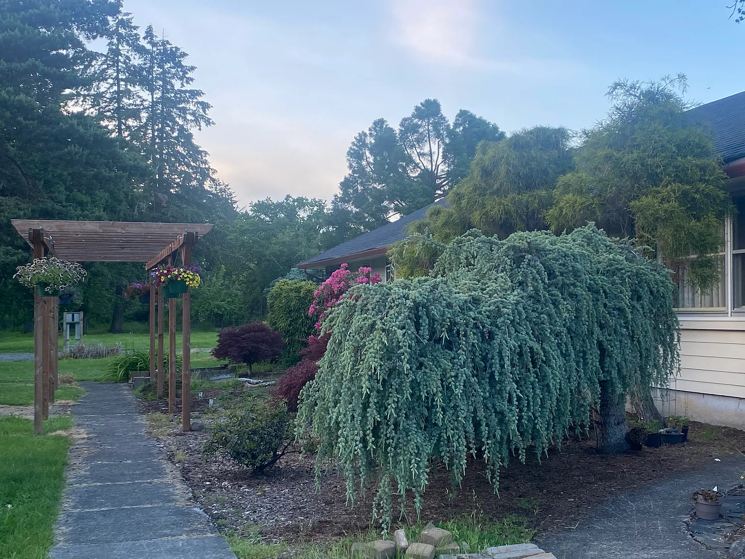 3 bed, 2200 sqft, $3,400 — Photo 4