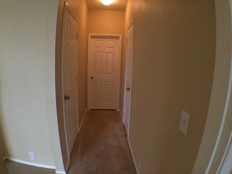 2509 Nueces Cv — Photo 11