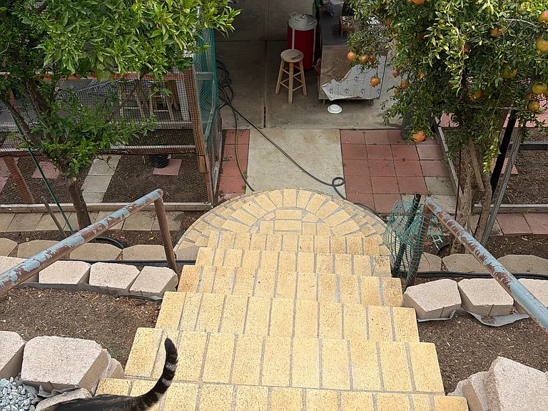 10526 Pine Grove St — Photo 6