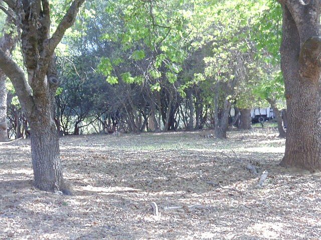 1st image of LOT 149 Jimmie Bell St