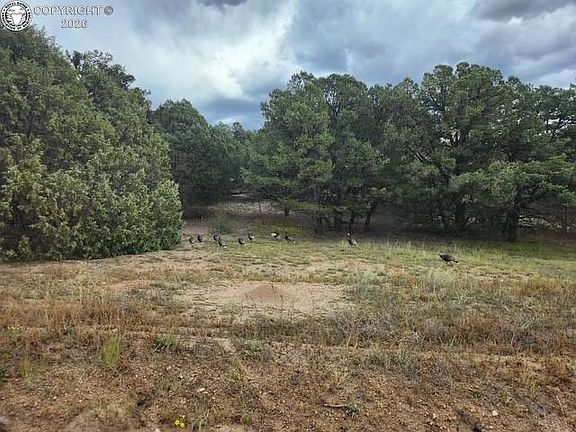 3rd image of 3152 Indian Wells Rd