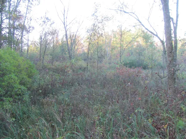 Lot 33 CHICAGO ROAD, Redgranite, WI 54970