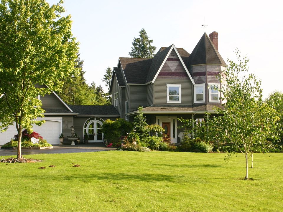 Live Happily Ever After 