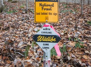 0 Cove Ln, Murphy, NC 28906