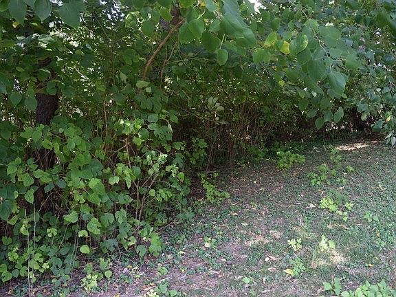 3rd image of 801 Canterbury Dr