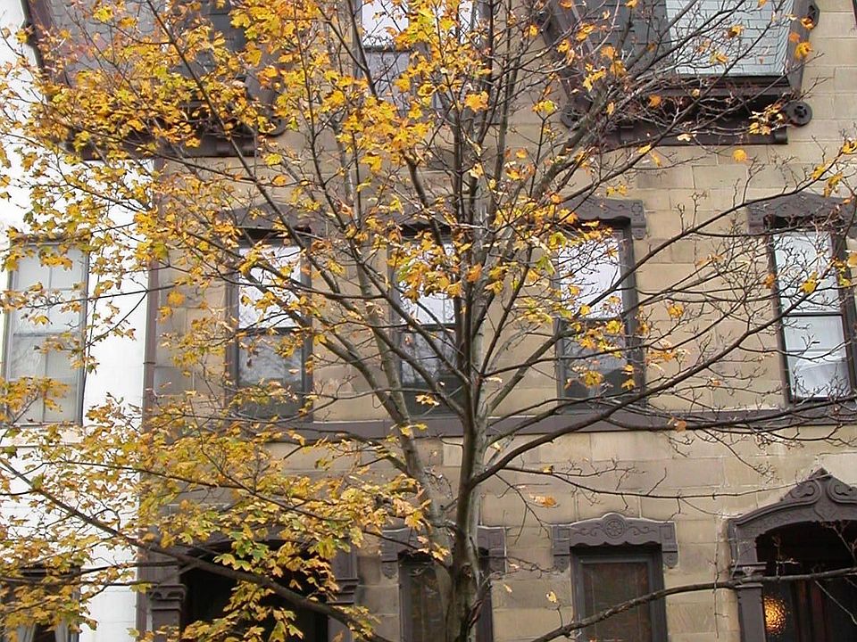 4 stories plus basement