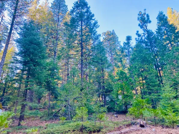 1557 Lily Valley Cir, West Point, CA 95255