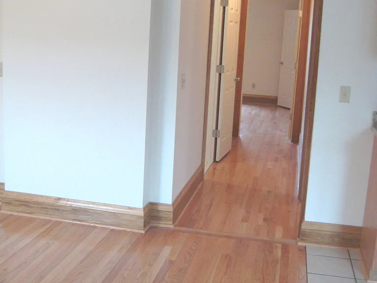 25 Wilmer St — Photo 25