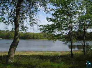 LOT 1 Pepin Rd, Webster, WI 54893