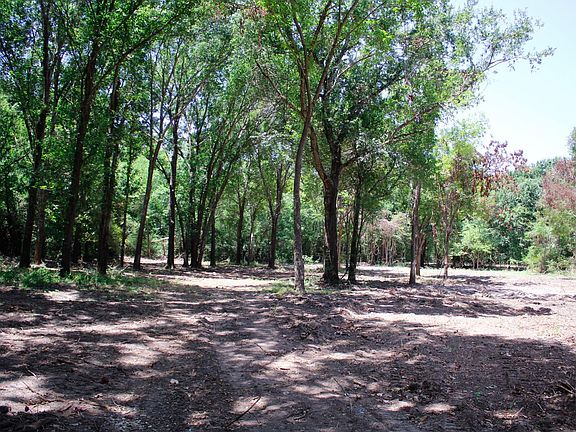 3rd image of 13/ACRE S Greenbriar Rd