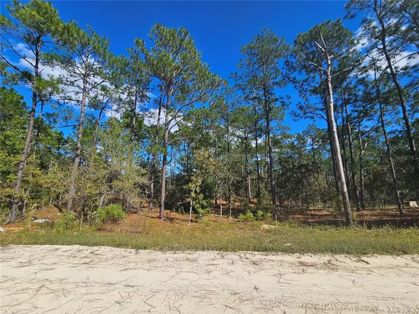 2171 SE 148th Ct Lot 10, Morriston, FL 32668