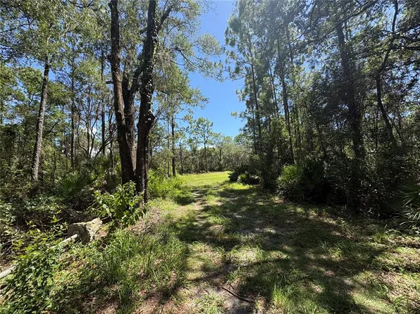 394 N FLORENE POINT LOT 17, CRYSTAL RIVER, FL 34429