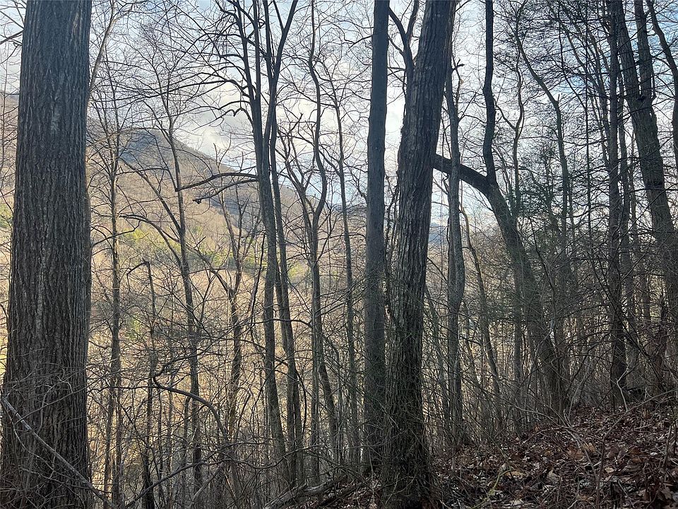 6629 Nc Hwy 194, Jefferson, NC 28640 MLS 4010065 Zillow